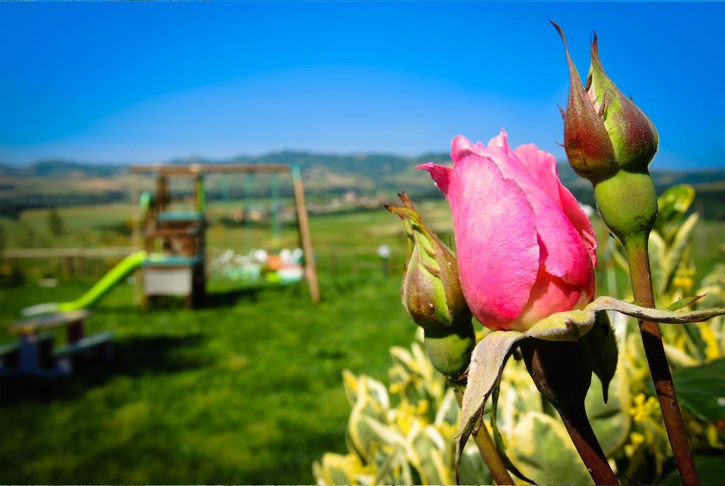 Agriturismo Il Canterino กวาร์ดิสตัลโล ภายนอก รูปภาพ