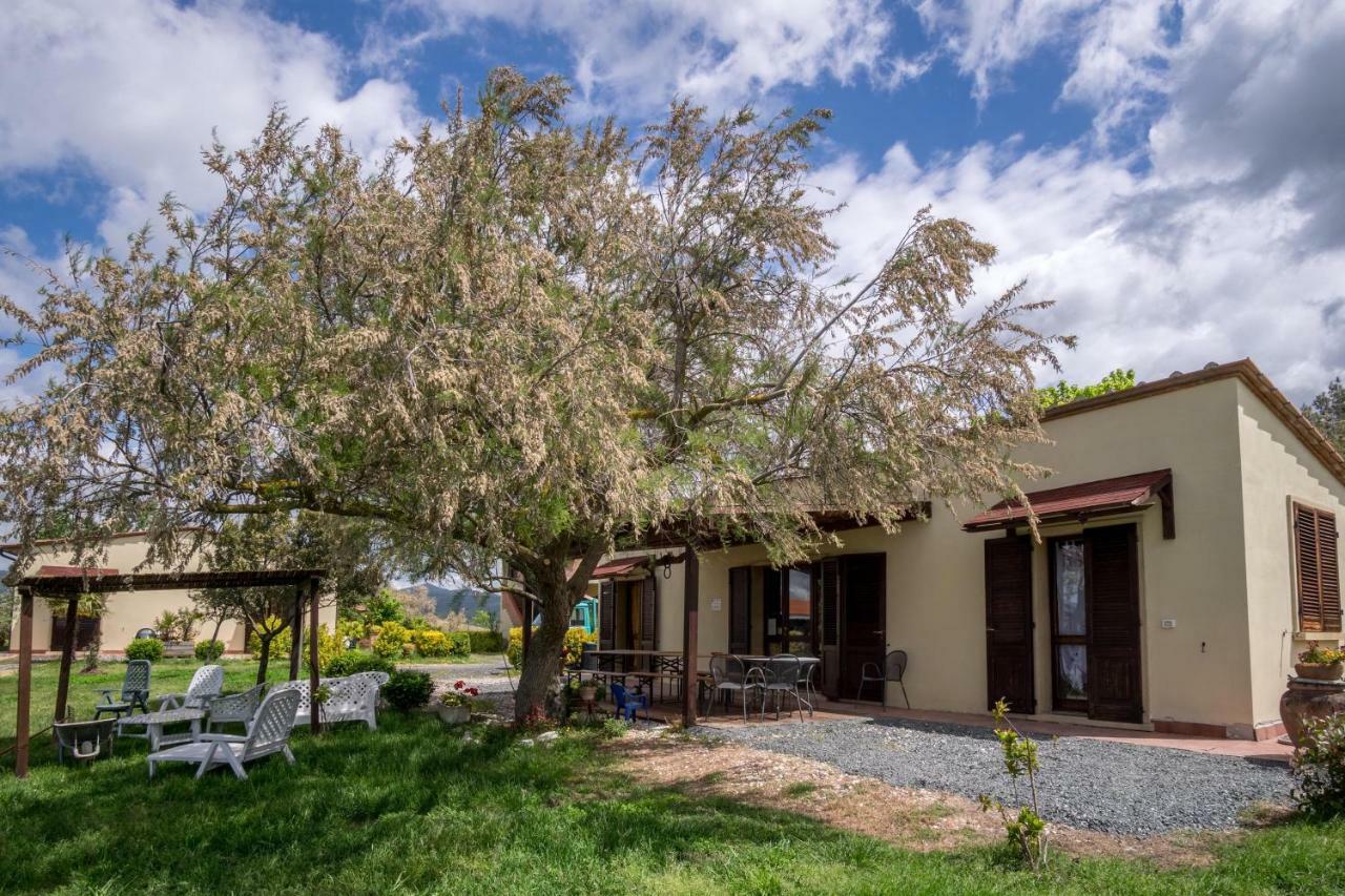 Agriturismo Il Canterino กวาร์ดิสตัลโล ภายนอก รูปภาพ